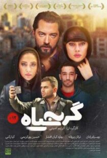 فیلم گربه سیاه copy