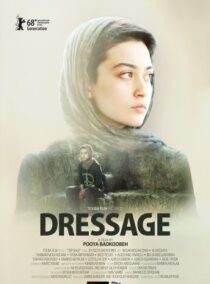 fiff 2018 Dressage Poster 576253 286x387.4ac18b